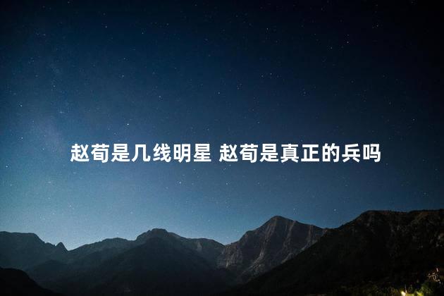 赵荀是几线明星 赵荀是真正的兵吗